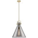 Downtown Urban Newton Cone 1 Light 16 inch Champagne Bronze Pendant Ceiling Light in Light Smoke Glass