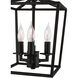 Cage 3 Light 8.5 inch Matte Black Pendant Ceiling Light