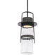 Balthus 1 Light 7.00 inch Outdoor Pendant/Chandelier