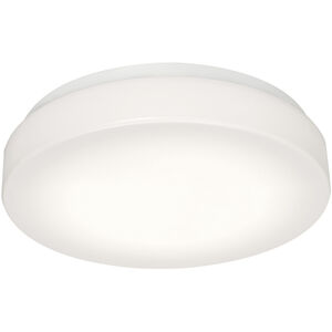 Cirrus 1 Light 19.00 inch Flush Mount