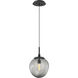 Aster Incandescent 1 Light 10 inch Matte Black Pendant Ceiling Light in Smoke Aster