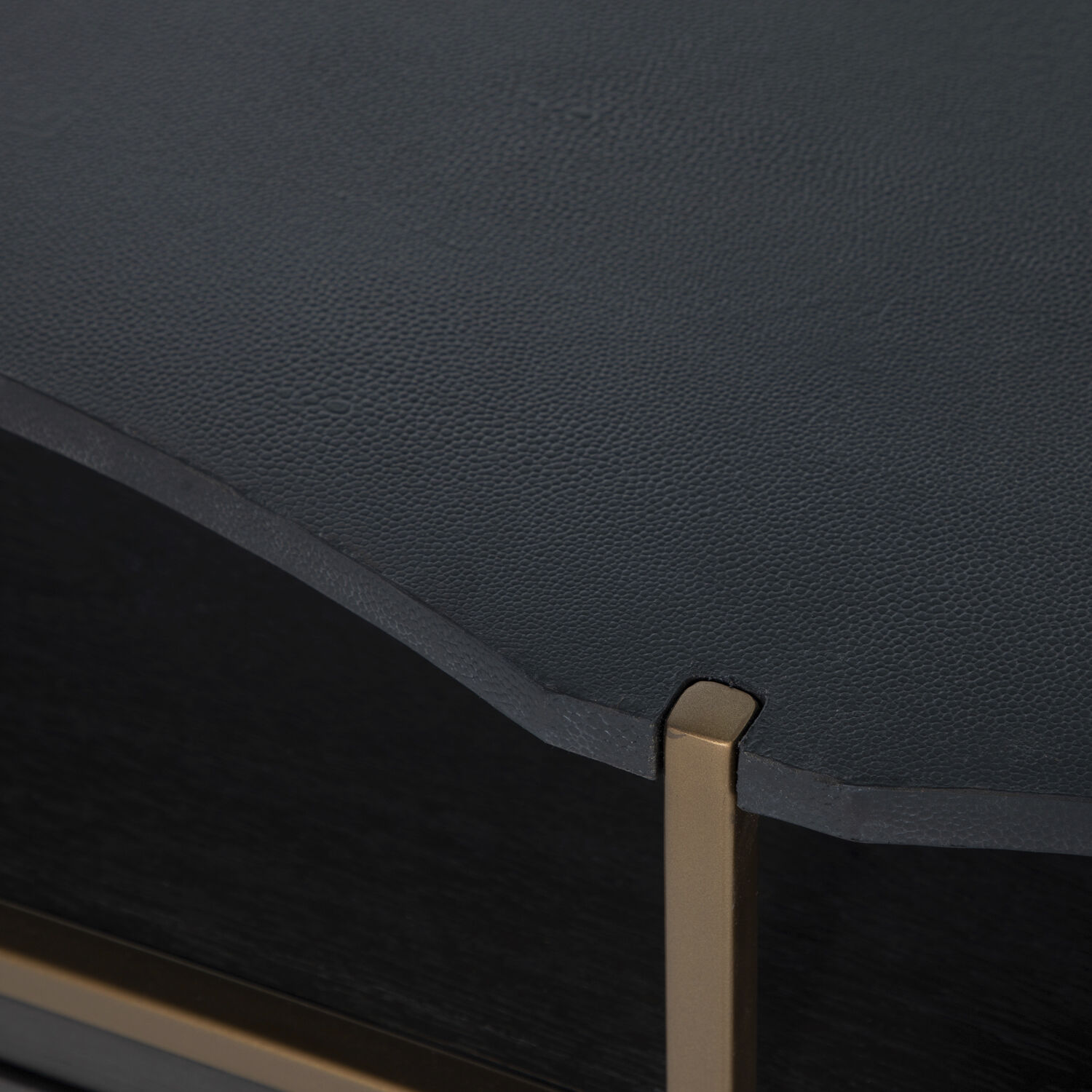 Jameson Natural Black / Black Faux Shagreen / Stained Gold Cabinet