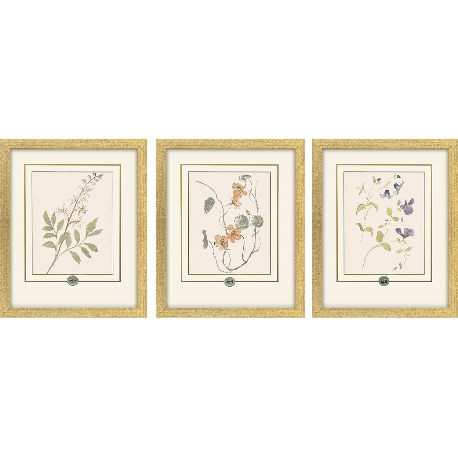 Garden Study Green and Pink and Multi and Yellow Framed Art