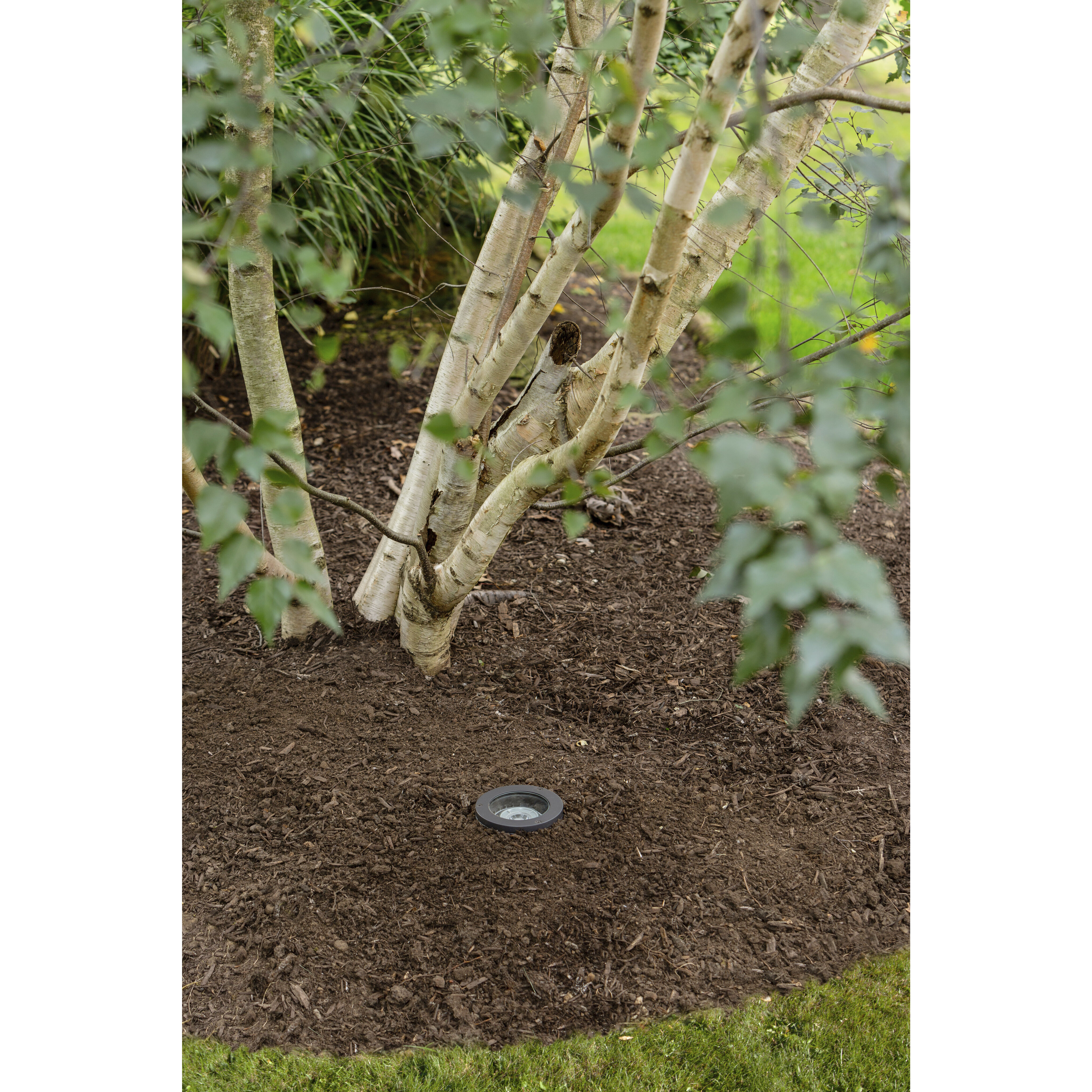 Hardy Island Flat Top 12v 12.00 watt Bronze Landscape Well Light in 2700K, Variable Output