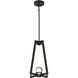 Haven LED 14 inch Matte Black Pendant Ceiling Light