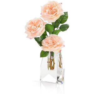 French Garden Rose Botanical, Fresh Water Look