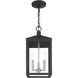 Nyack 3 Light 8.25 inch Black with Brushed Nickel Cluster Outdoor Pendant Lantern