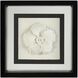 Porcelain Flower II Black and White Giclees, Floral