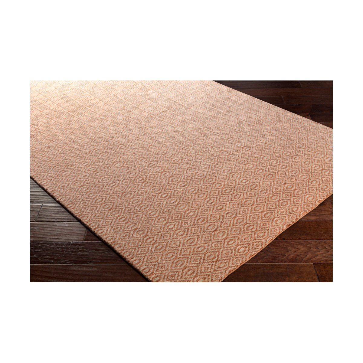 Astara 36 X 24 inch Burnt Orange/Beige Rugs, Rectangle