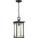 Hillside Manor 1 Light Black Outdoor Chain Hung, The Great Outdoors