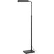 Delray 44 inch 17.00 watt Charcoal Grey Floor Lamp Portable Light