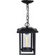 Winfield 1 Light 8.8 inch Black Outdoor Hanging Light