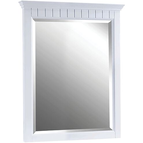 Danube 30.8 X 22.82 inch White Wall Mirror