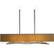 Brindille 4 Light 10 inch Sterling Pendant Ceiling Light in Flax