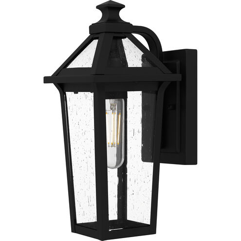 Boulevard Outdoor Wall Lantern, Small