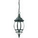 Chateau 1 Light 6 inch Matte Black Exterior Hanging Lantern