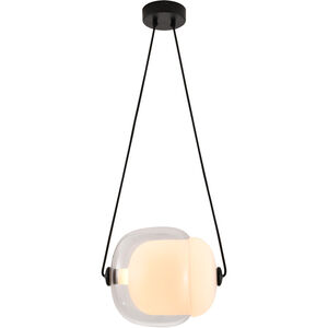 Canada LED 10 inch Black LED Pendant Ceiling Light