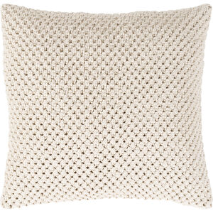 Godavari 22 X 22 inch Cream Pillow Cover, Square
