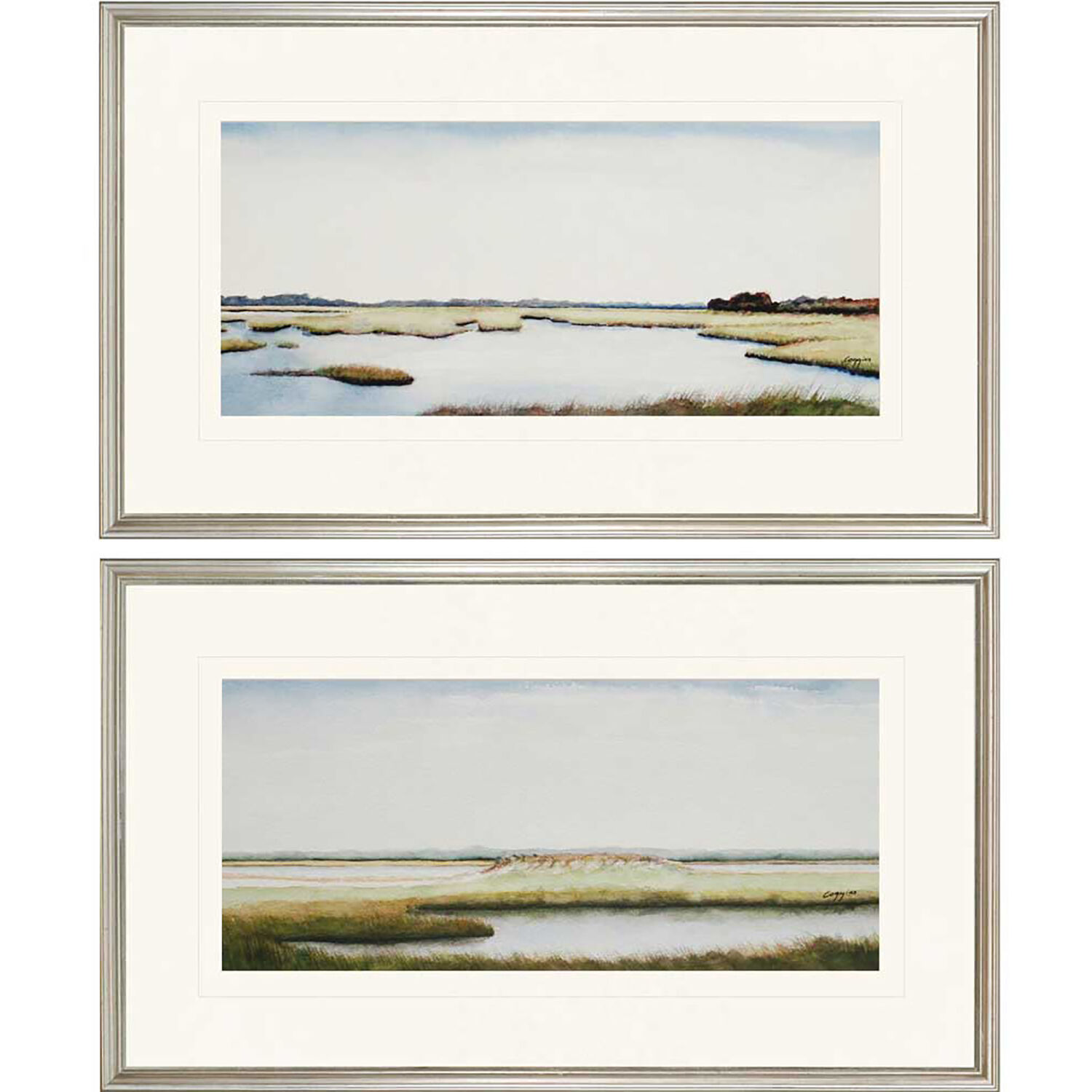 Marshlands Framed Art