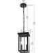 Venango 2 Light 7 inch Black Outdoor Pendant