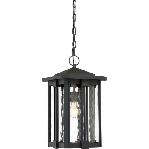 Everglade 1 Light 11 inch Earth Black Outdoor Hanging Lantern