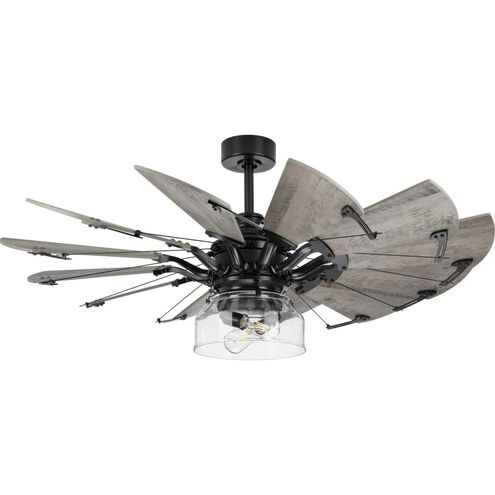 Springer 2 Light Incandescent Matte Black Ceiling Fan Light Kit