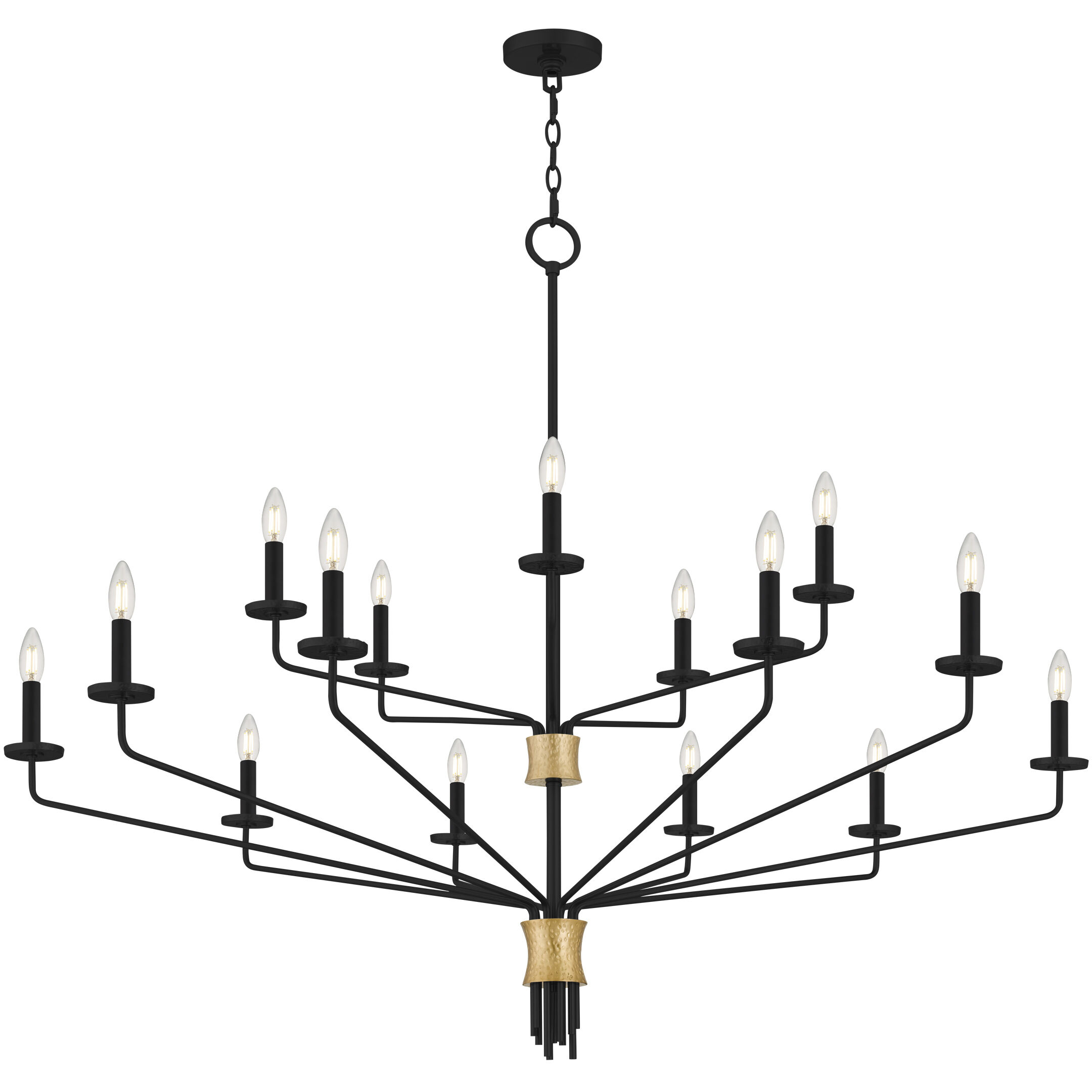 Alexander 15 Light 55 inch Matte Black Chandelier Ceiling Light