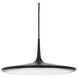 Disc LED 16.5 inch Black Pendant Ceiling Light