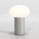 Zeppo 1 Light 5.91 inch Table Lamp