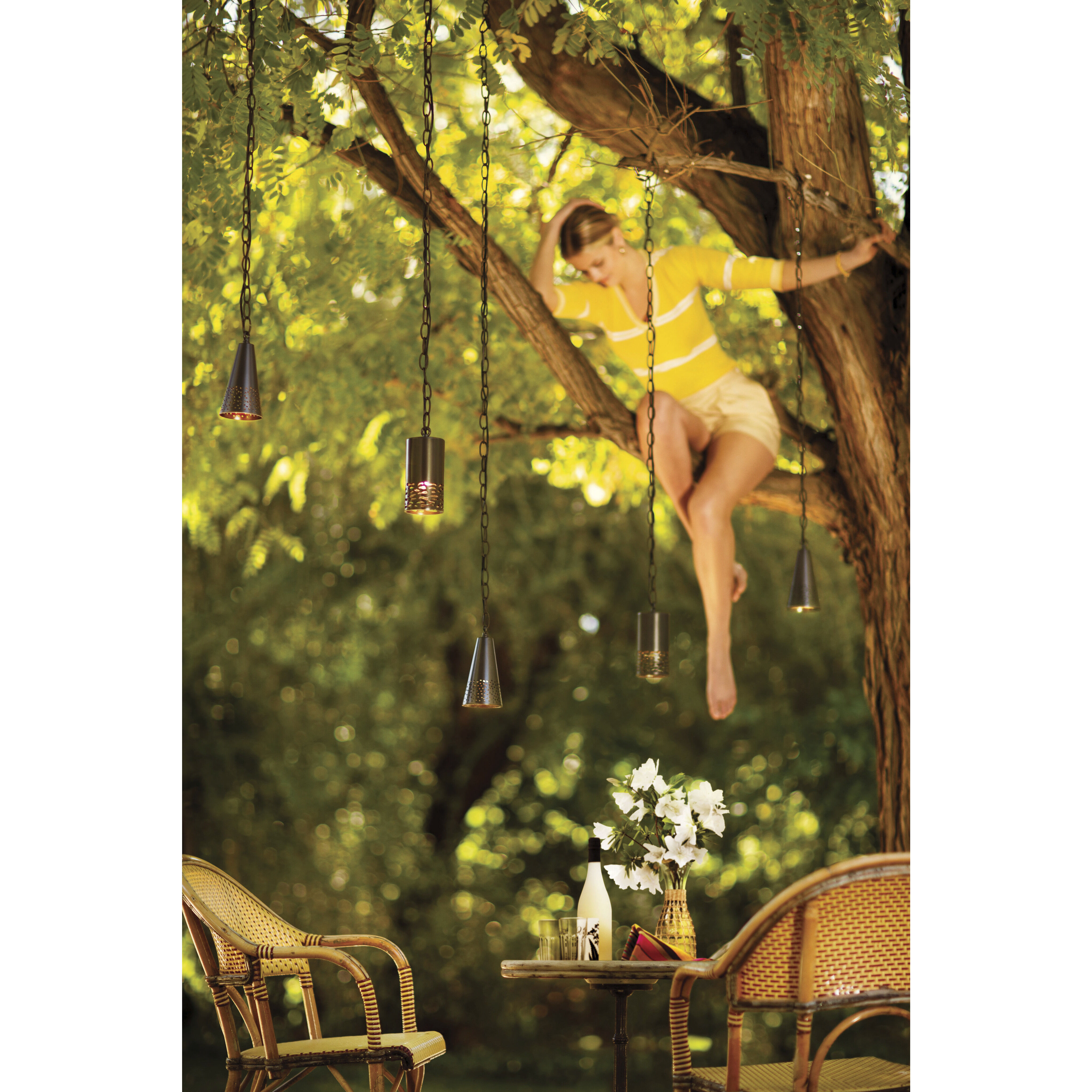 Calder 12v 1.50 watt Bronze Landscape Twinkle Light