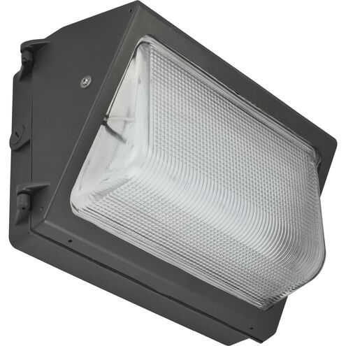 Brentwood LED 9 inch Bronze Wall Mount Wall Light