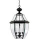Newbury 4 Light 16 inch Mystic Black Outdoor Hanging Lantern