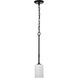Liam 4.13 inch Matte Black Pendant Ceiling Light