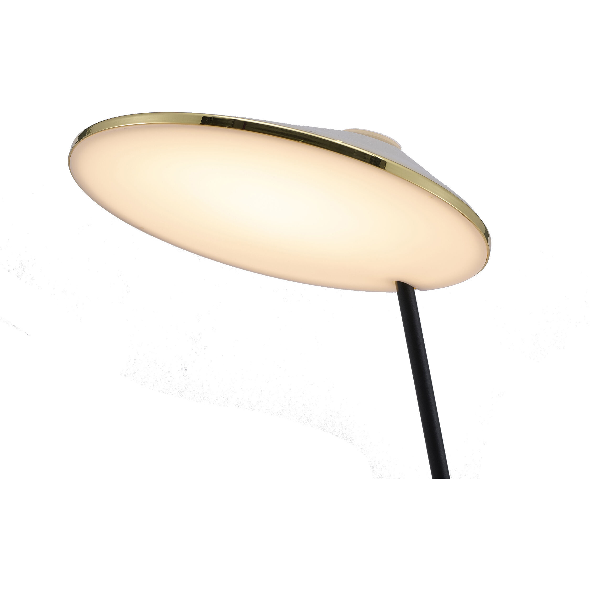 Canada 55 inch 11 watt Black & Stain Brass Floor Lamp Portable Light