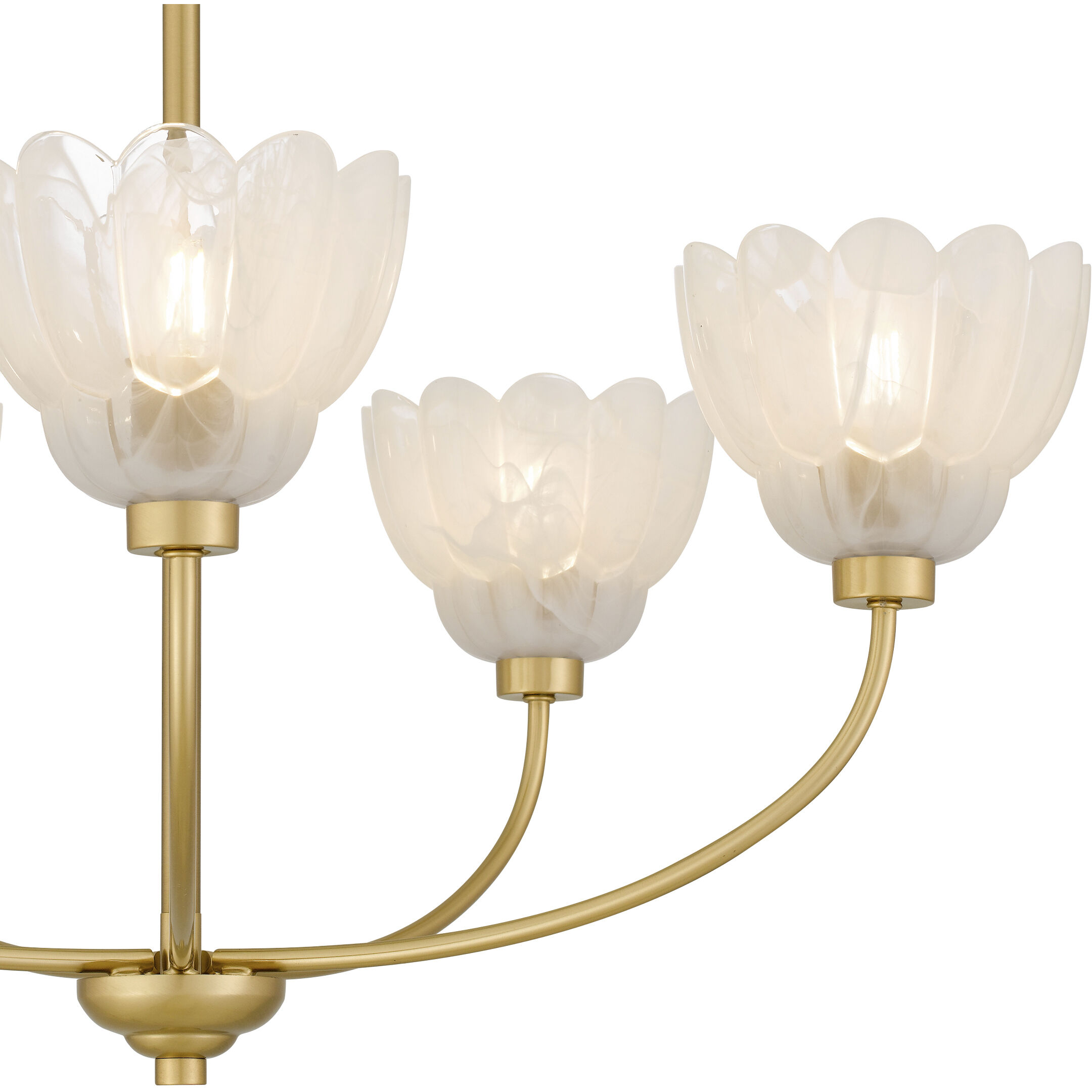 Whitecap 5 Light 28 inch Brushed Gold Chandelier Ceiling Light