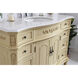 Danville 48 X 21 X 36 inch Light Antique Beige Vanity Sink Set