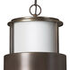 Saturn 1 Light 10 inch Metro Bronze Outdoor Hanging Lantern