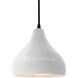 Radiance LED 8 inch Bisque and Matte Black Pendant Ceiling Light