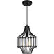 Alethia 1 Light 10 inch Black Down Pendant Ceiling Light