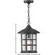Freeport Coastal Elements 1 Light 10 inch Textured Black Outdoor Hanging Lantern