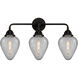 Nouveau 2 Geneseo 3 Light 25 inch Matte Black Bath Vanity Light Wall Light