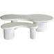 Stella 34 X 16.25 inch Plaster White Coffee Table