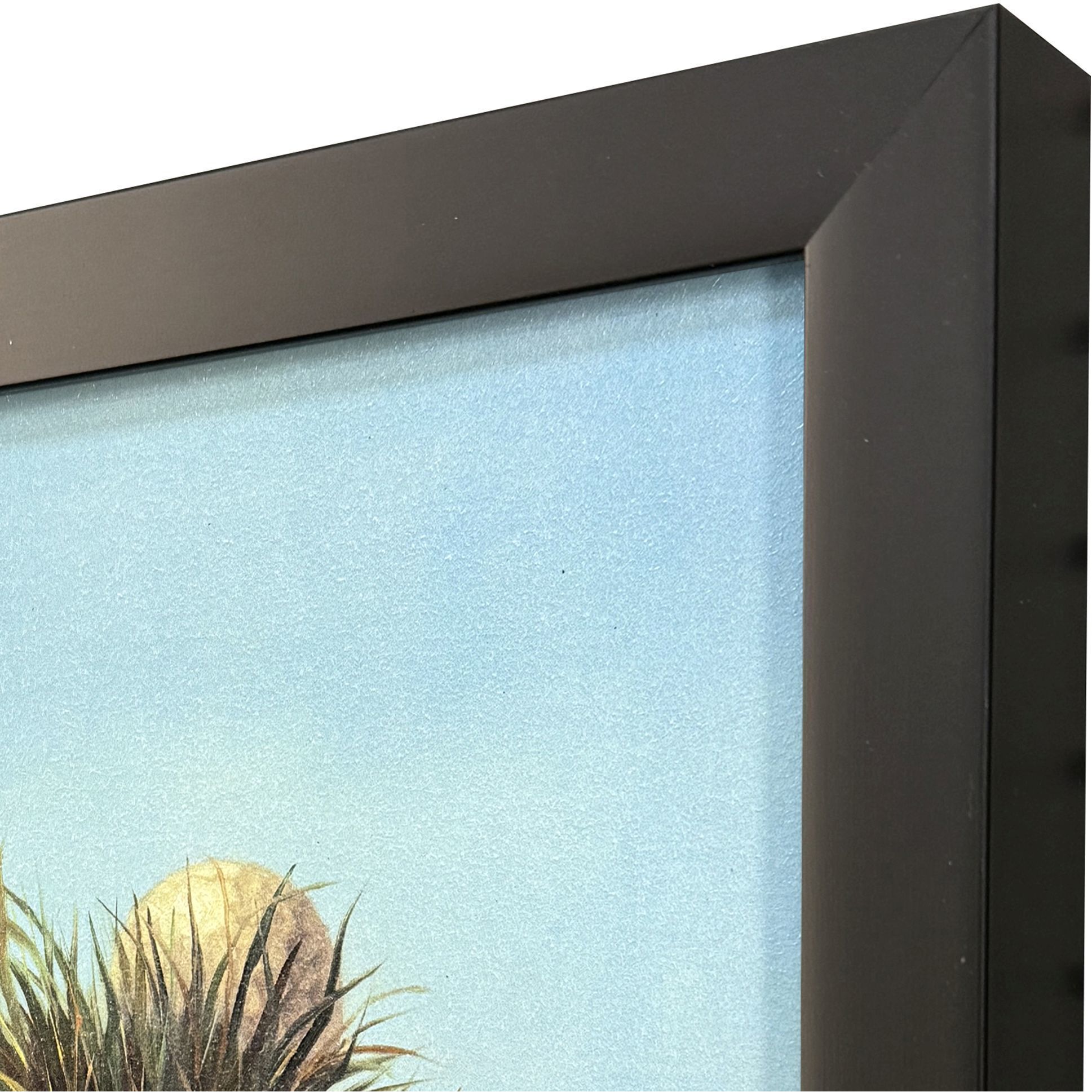 Ball Hog No. 2 11 X 9 inch Non-Glass Framed Art, Propac