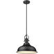 Virginia 1 Light 15 inch Matte Black Pendant Ceiling Light