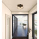Gem LED 14.5 inch Black and Brushed Brass Semi-Flush Mount Ceiling Light in Amber