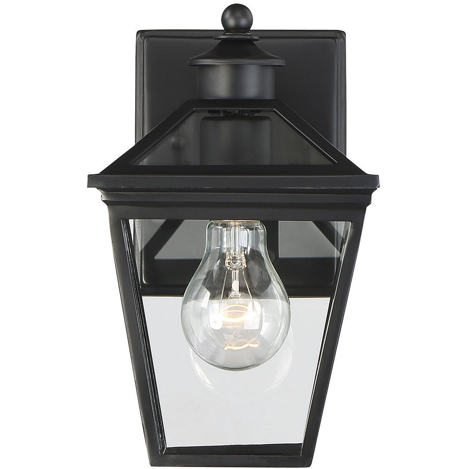 Ellijay Outdoor Wall Lantern in Black