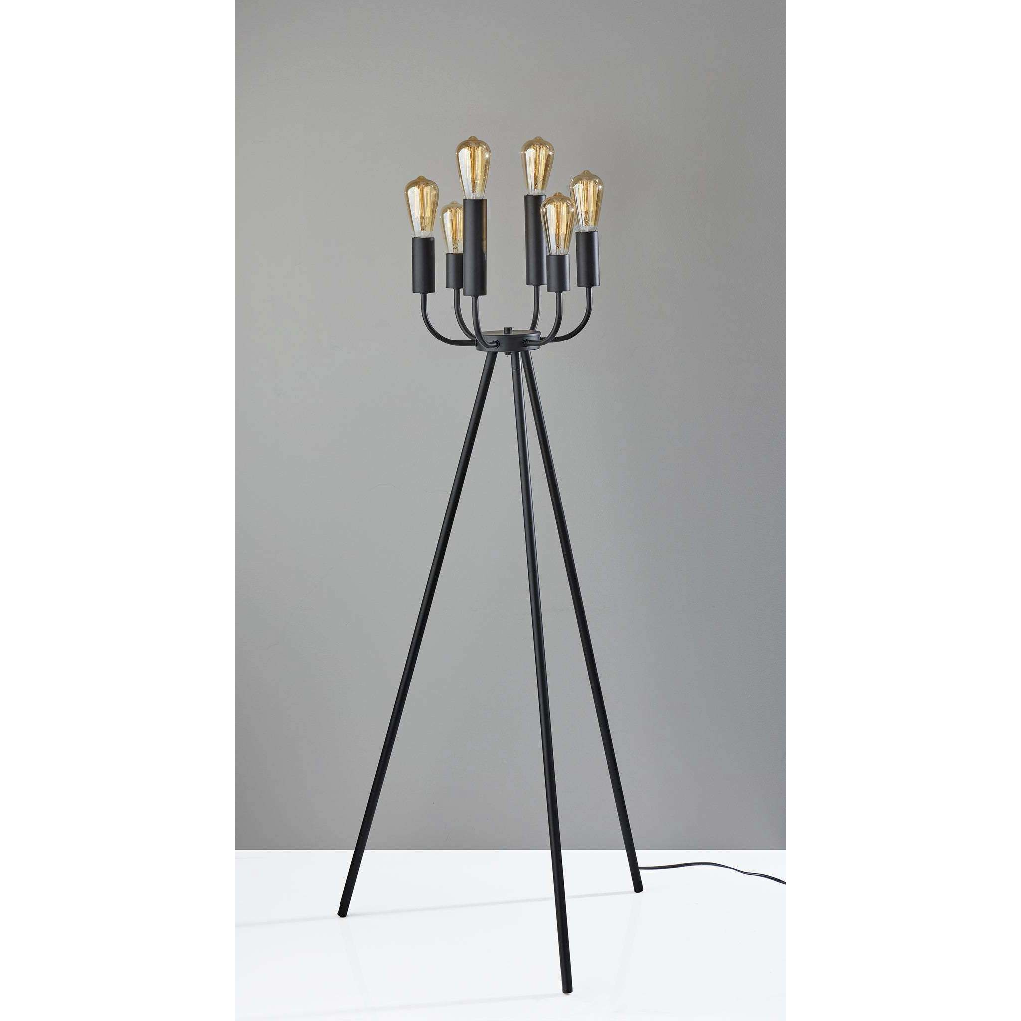 Rory 55 inch 240.00 watt Black Floor Lamp Portable Light