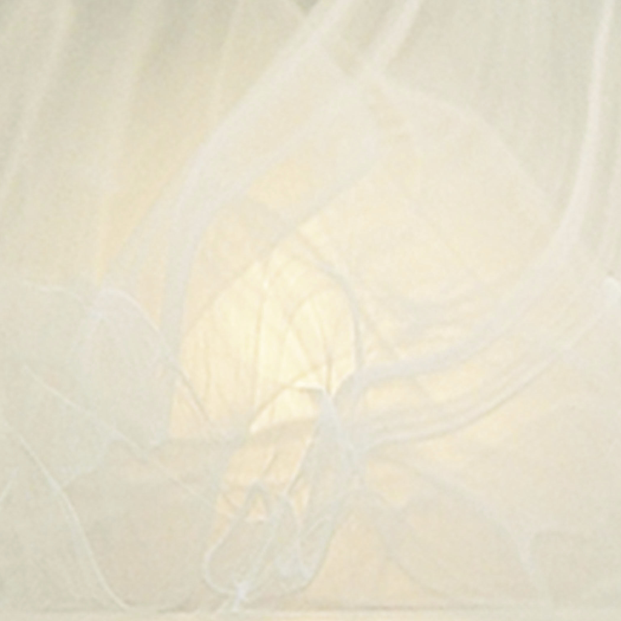 Elysburg Vanity Light Wall Light in Polished Chrome