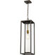 Dunbroch 1 Light 8.00 inch Outdoor Pendant/Chandelier