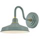 Foundry Classic Outdoor Barn Light in Sage Green, Gooseneck